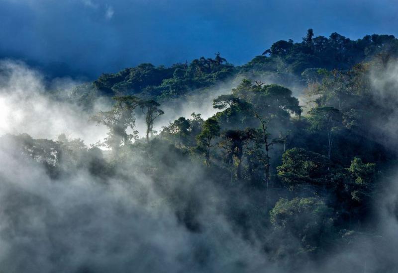 Usred amazonske prašume otkriven napušteni grad 