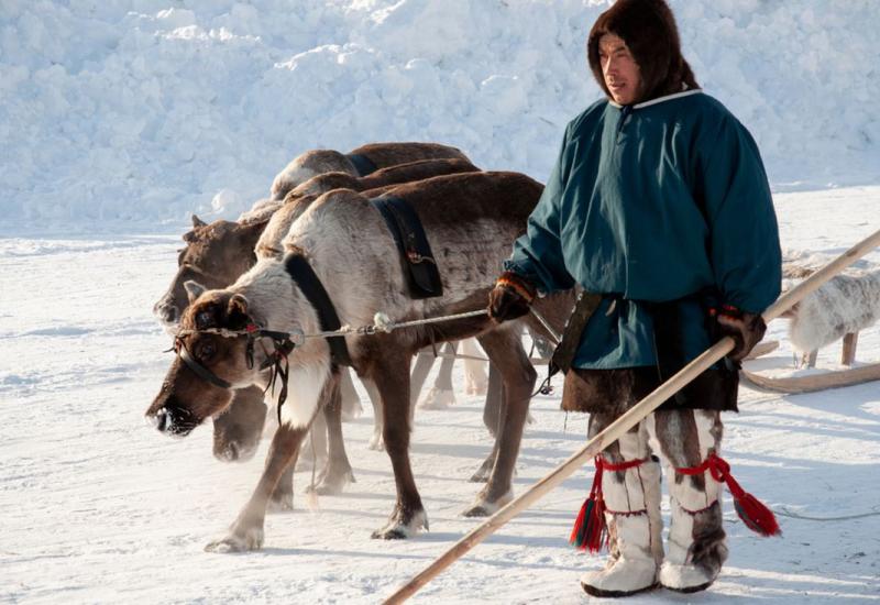 Neneci - Čudesno pleme sa sjevera Europe koje živi na minus 50 i godišnje prelazi na tisuće kilometara