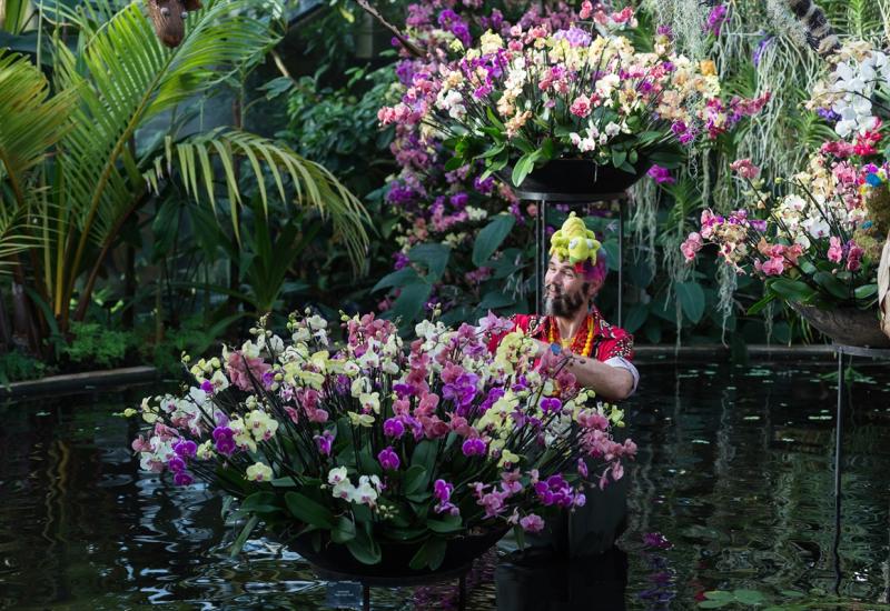 Festival orhideja u botaničkom vrtu u Londonu - Zavirite na Festival orhideja - Raskošan i bajkovit