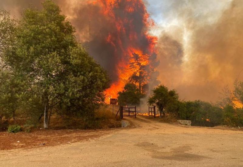 Čile proglasio izvanredno stanje zbog šumskih požara - Čile proglasio izvanredno stanje zbog šumskih požara