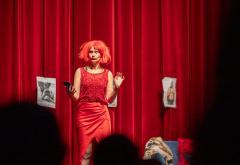 Mostar: Predstava ''Tražim muža'' (opet) oduševila publiku