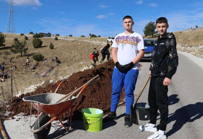 VIDEO | Mostarski učenici posadili tisuću sadnica crnog bora na Fortici 
