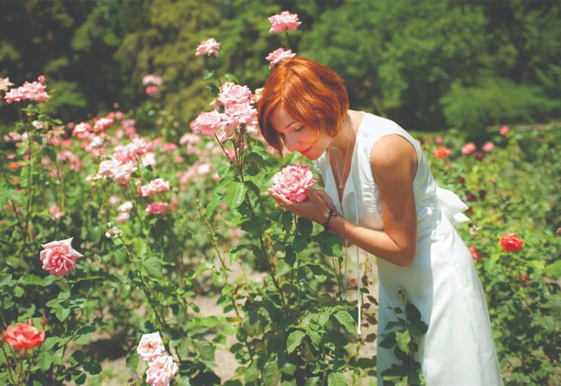 Ruže nisu slučajno kraljice u vašem vrtu, evo kako saditi i održavati ovu ljepoticu
