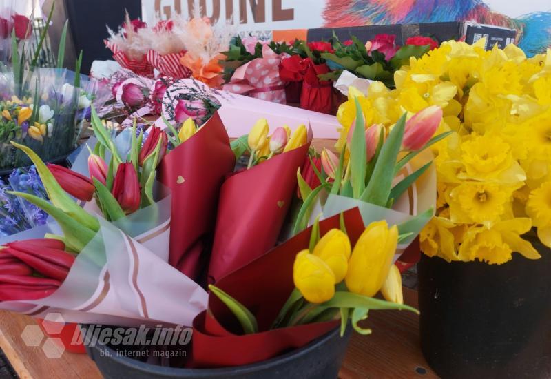 Tulipani i narcisi - FOTO | Prodavači spremni - Provjerili smo cijene 
