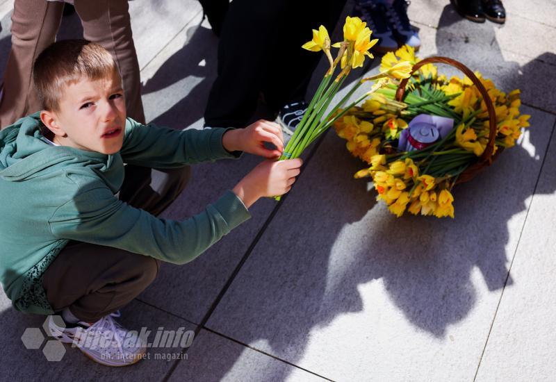 Dječak drži narcis - Dan narcisa obilježen u Mostaru - Vlada HNŽ iznenadila okupljene 