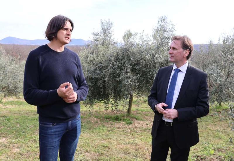 Federalni ministar posjetio maslinare iz Hercegovine