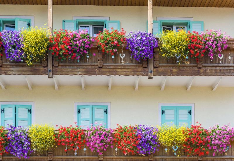 Južni balkon idealan je za uzgoj cvijeća - Balkon vam je okrenut na jug, evo koje cvijeće onda uzgajati