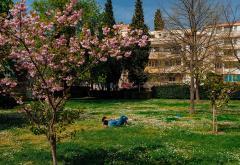 FOTO | Mostar: Neradni ponedjeljak neki su proveli izležavajući se na travi u parku