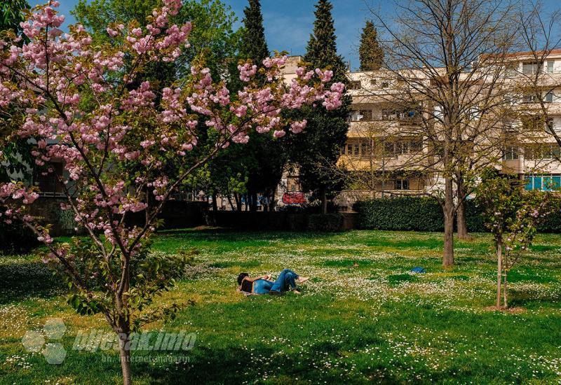 FOTO | Mostar: Neradni ponedjeljak neki su proveli izležavajući se na travi u parku