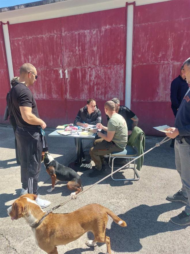 Smotra lovačkih pasa u Mostaru - Odlučeno: Mostarski lovci posjeduju dobre, kvalitetne i njegovane lovačke pse