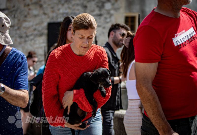 Najslađa fotogalerija s mostarskih ulica: Kad šapice i njuške preuzmu grad 