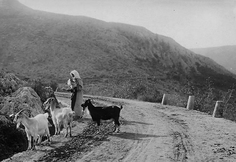 Pogled u prošlost: Ovako je izgledala Žovnica davne 1903. godine