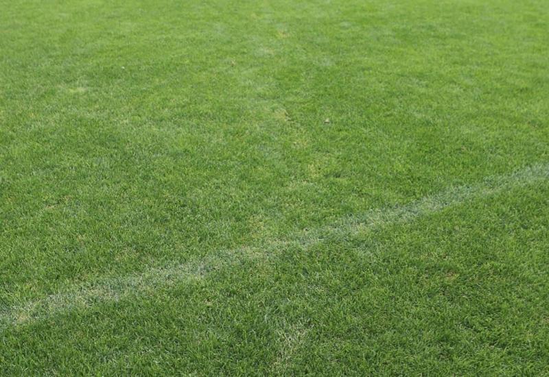 Oštećenja na travnjaku Arene Rođeni - Stručnjak za nogometne terene tvrdi: Travnjak nije posut kiselinom i ne bi trebalo biti problema s odigravanjem utakmica