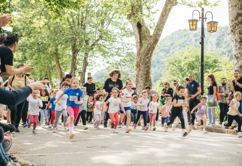 Stolački cener ruši sve rekorde 