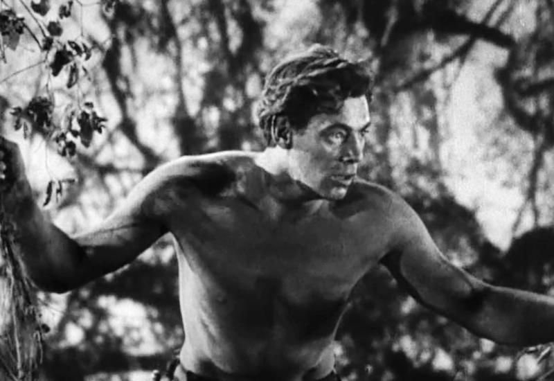 Johnny Weissmuller (Freidorf, Temišvar, 2. lipnja 1904. – Acapulco, 20. siječnja 1984.)  - Dječak iz Banata: Slavni plivač i legendarni filmski Tarzan