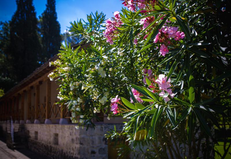 Foto: Bljesak.info  - Mostarski manastir stariji od Starog mosta čuvar tradicije