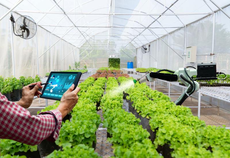 Umjetna inteligencija u poljoprivredi: AI zna kada saditi i kada će usjev početi cvjetati i proizvoditi sjeme