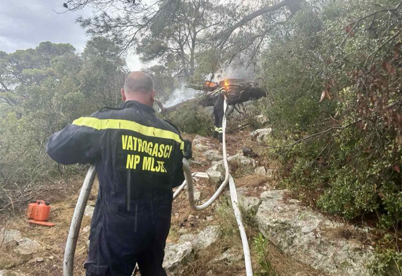 Planuo požar na Mljetu, vatrogasci spriječili katastrofu