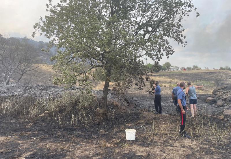 U Požaru u Italiji poginula dva vatrogasca - Šumski požar u Italiji: Poginuli vatrogasci