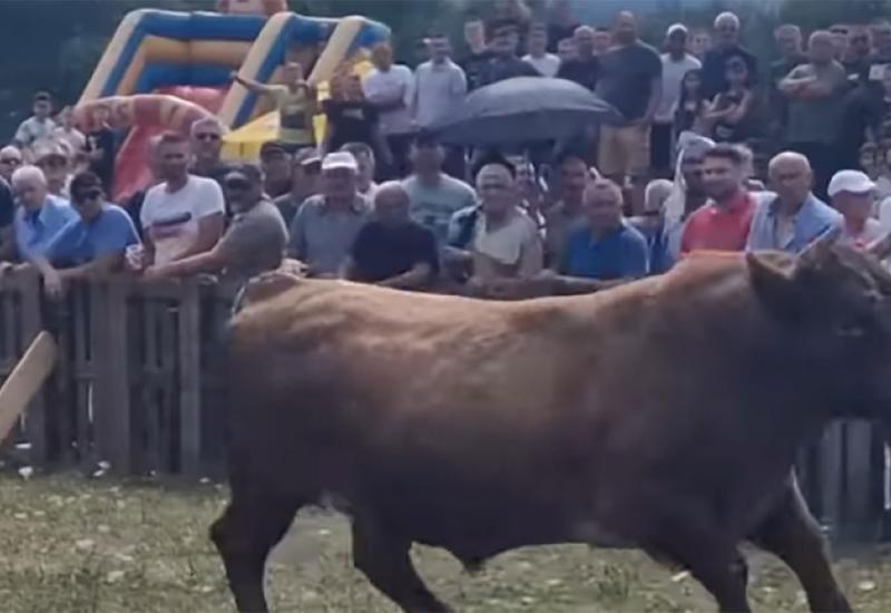 VIDEO Drama tijekom koride u Posušju: Bik uletio u publiku, ljudi u panici bježali