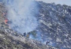 VIDEO/FOTO: Borba vatrogasaca na Fortici