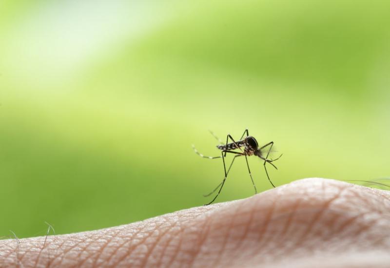 Komarci vas grizu više nego ostale? Medicinska sestra pojasnila razloge