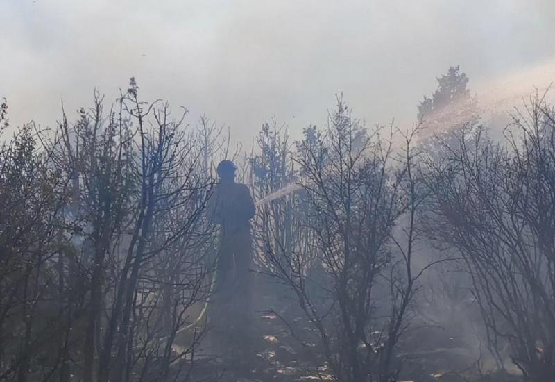 Vatrogasac gasi požar - FOTO | Čapljina: Vatrogasci spasili kuće i školu