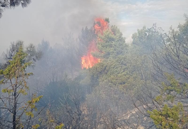 Požar na Fortici - Vatrogasci apeliraju na MUP da sankcioniraju pojedince