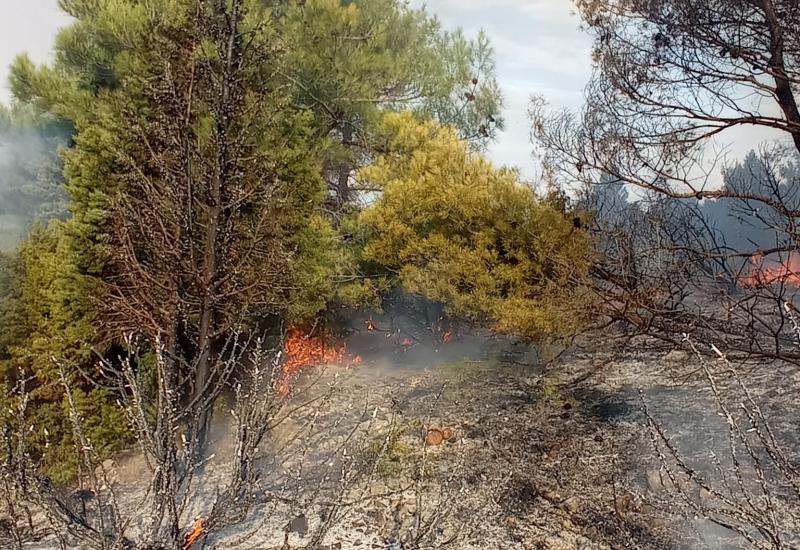 Požar na Fortici - Vatrogasci apeliraju na MUP da sankcioniraju pojedince