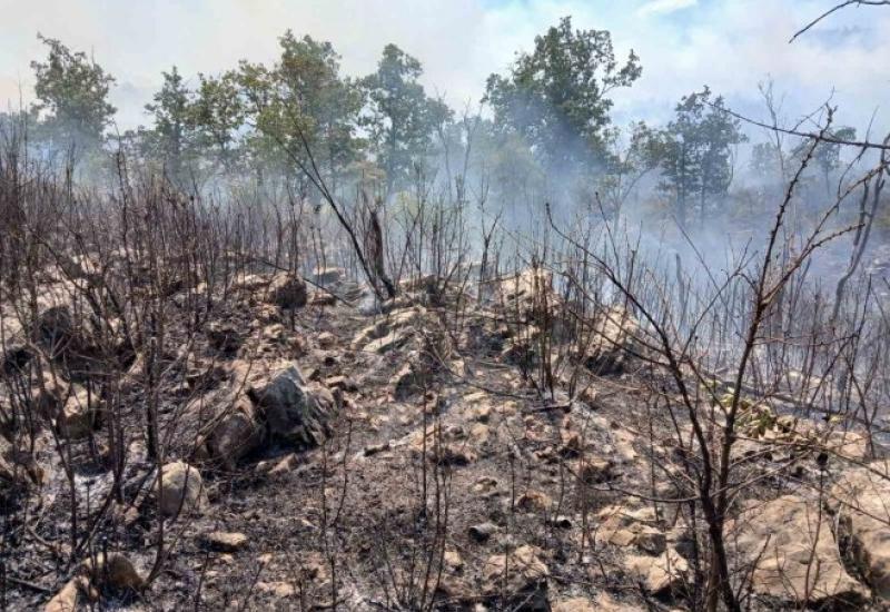 Novi požari na području Bileće i Gacka: Vatra se širi velikom brzinom, ozlijeđen vatrogasac