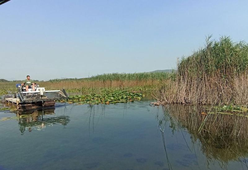 Hutovo Blato - Hutovo Blato: Uklonjena prva od devet barijera kako bi se obnovila migracija riba