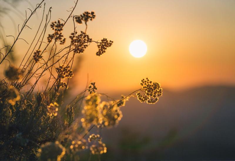 I danas sunčano i toplo