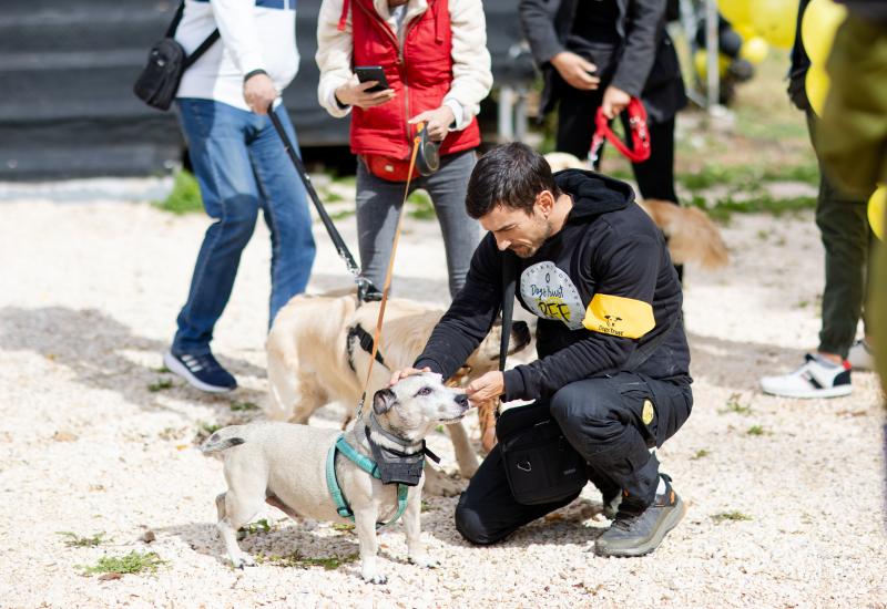 Upriličeno veliko Dogs Trust druženje “Sarajevo za ljubav i odgovornost prema psima”