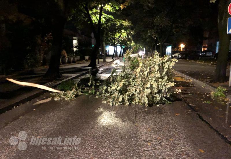 Oborena grana - Zbog nevremena obustavljen promet na više pravaca u Hercegovini: U Mostaru padale grane