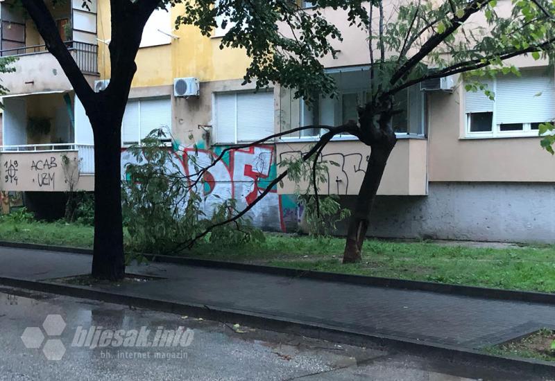 Oborena grana - Zbog nevremena obustavljen promet na više pravaca u Hercegovini: U Mostaru padale grane