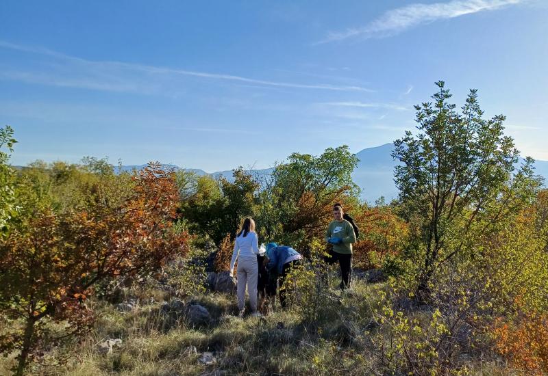 Foto:PR/ Volonterska radionica pošumljavanja bijelog bora na brdu Mikuljača - Održana volonterska radionica pošumljavanja bijelog bora na brdu Mikuljača