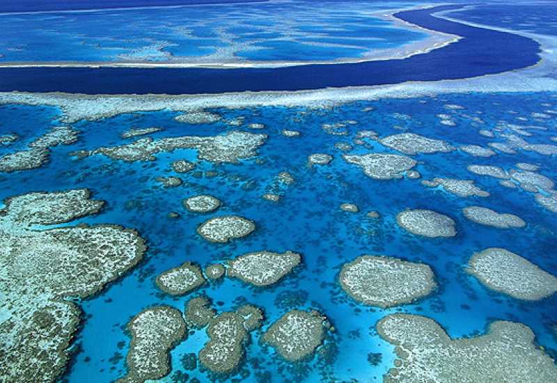 Nestalo je 14 posto koraljnih grebena u svijetu