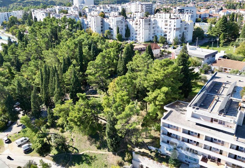 Šuma koja se želi sačuvati... - Pobuna zbog novog plana: Građani i Studentski dom protiv rješenja koje je ponudio grad