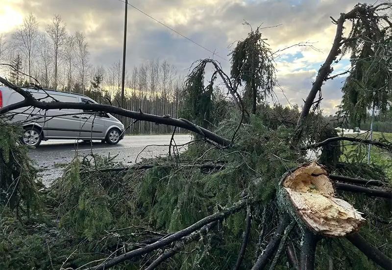 Posljedice uragana u Finskoj | AP - Uragan u Finskoj prvi put u povijesti