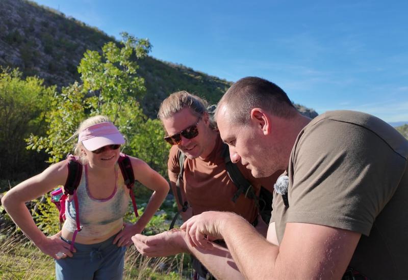 Istraživanje biodiverziteta na području Blagaja, pronađeno nekoliko važnih nalaza