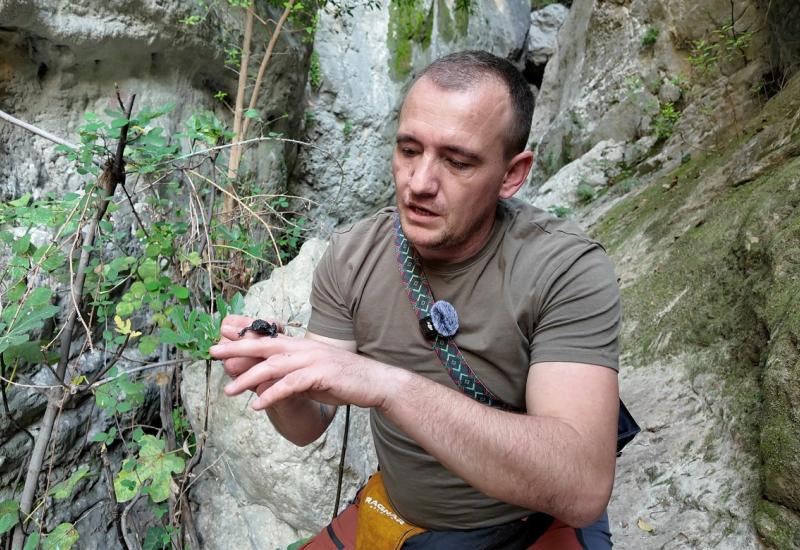 Istraživanje biodiverziteta na području Blagaja - Istraživanje biodiverziteta na području Blagaja, pronađeno nekoliko važnih nalaza