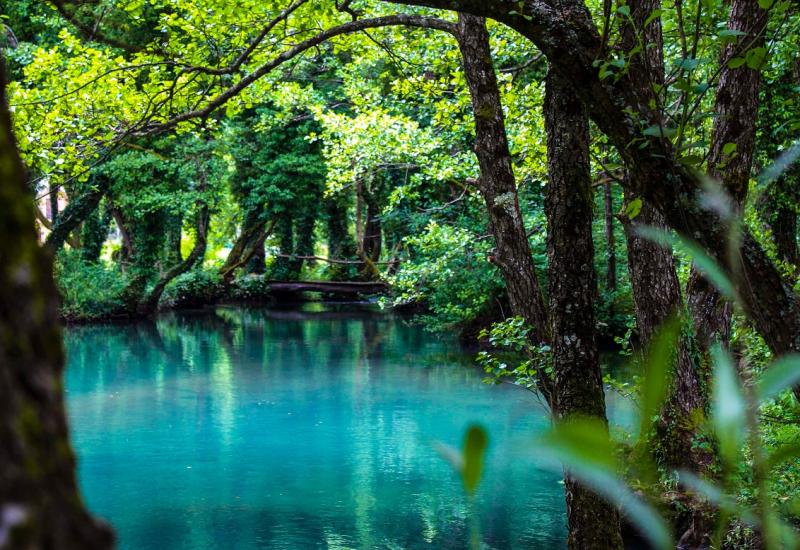 Prašuma iz RS-a upisana na UNESCO listu