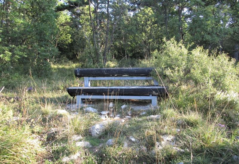 Aktivisti rade na 'oživljavanju' bunkera na Ćavarovom brdu