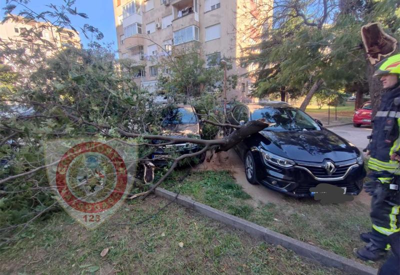 Mostar: Jak vjetar oborio stablo