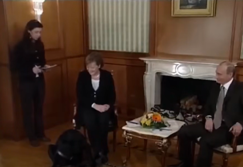 Labrador na sastanku davne 2007. godine -  Putin tvrdi da nije htio prestrašiti Merkel sa psom Konijem