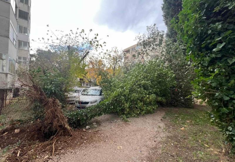 Mostar: Vjetar napravio probleme, pokidao stabla i oštetio automobile