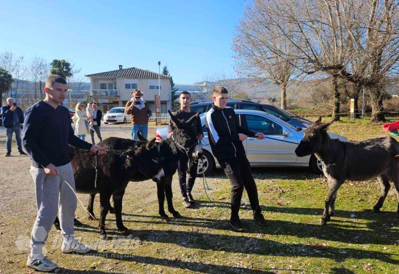 Četvrta utrka magaraca u Čapljini: Brojni posjetitelji i mnoštvo zabave