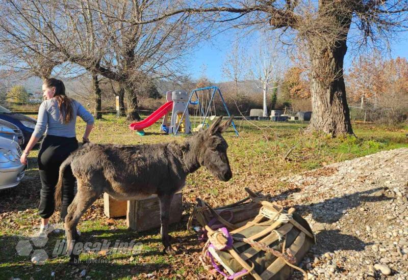 Četvrta utrka magaraca u Čapljini: Brojni posjetitelji i mnoštvo zabave