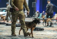 FOTO Policijski psi u akciji: Natjecanje koje demonstrira snagu K9 jedinica u BiH!