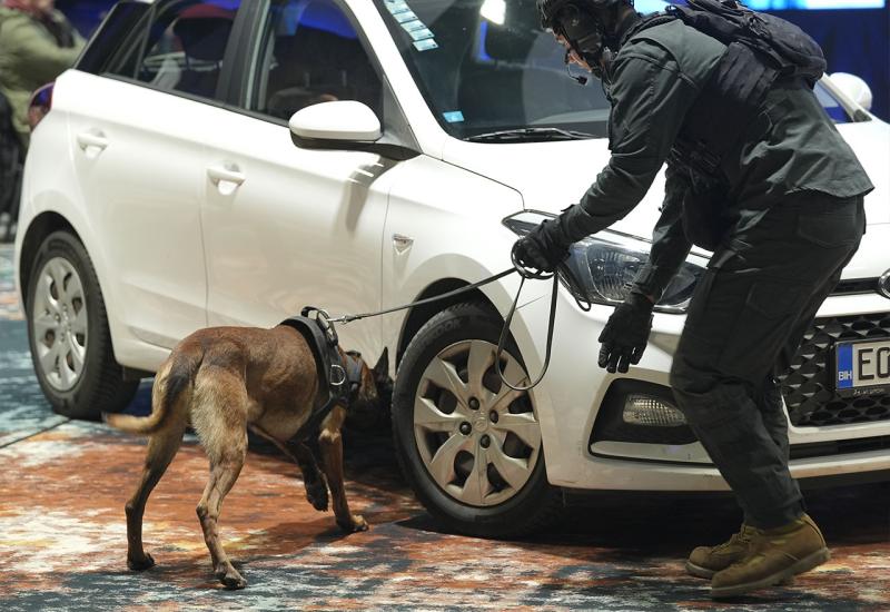 FOTO Policijski psi u akciji: Natjecanje koje demonstrira snagu K9 jedinica u BiH!